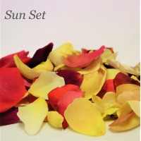 20 x Guest Confetti Bags and 20 cups Freeze Dried Rose Petals